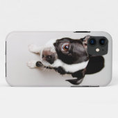 Edison Boston Terrier puppy. Case-Mate iPhone Case (Achterkant (horizontaal))