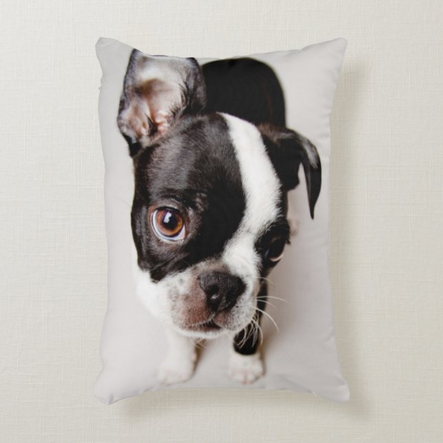 Edison Boston Terrier puppy. Decoratief Kussen (Voorkant(Verticaal))