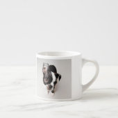 Edison Boston Terrier puppy. Espresso Kop (Rechts)