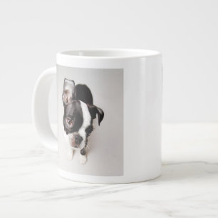 Edison Boston Terrier puppy. Grote Koffiekop