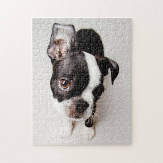 Edison Boston Terrier puppy. Legpuzzel (Verticaal)