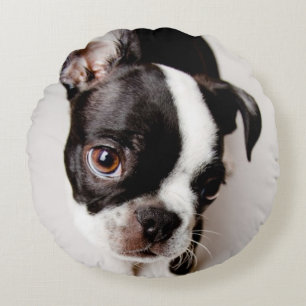 Edison Boston Terrier puppy. Rond Kussen