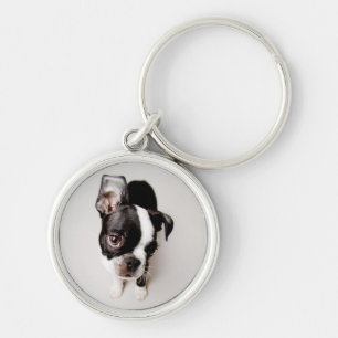 Edison Boston Terrier puppy. Sleutelhanger