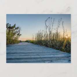 Edisto Beach, South Carolina Briefkaart