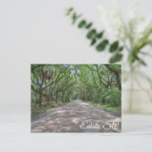 Edisto-Briefkaart Briefkaart (Staand voorkant)