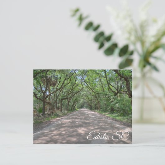 Edisto-Briefkaart Briefkaart (Staand voorkant)