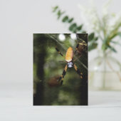 Edisto Golden Silk Spider 3519 Briefkaart (Staand voorkant)