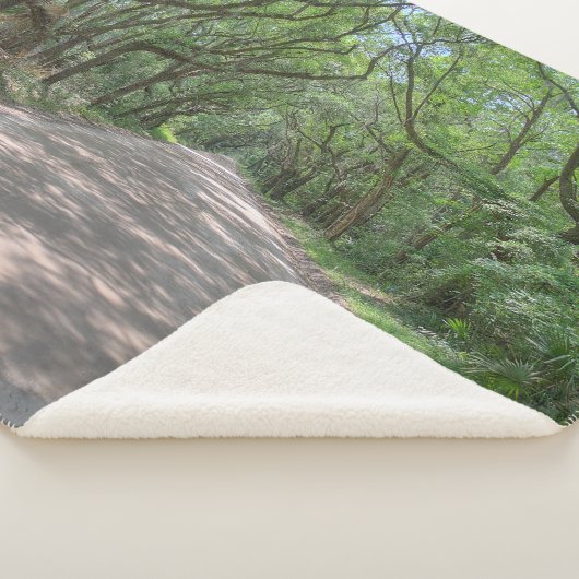 Edisto Road deken (3/4)