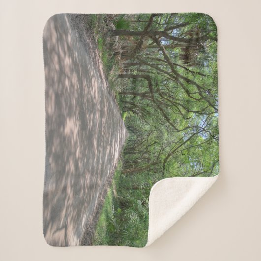 Edisto Road deken (Voorkant)