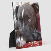Editable Baby Pitbull-Puppies Fotoplaat (Zijkant)