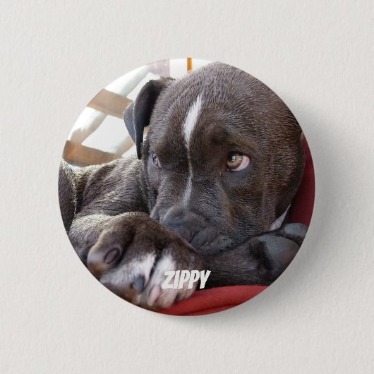 Editable Baby Pitbull Puppies Ronde Button 5,7 Cm (Voorkant)