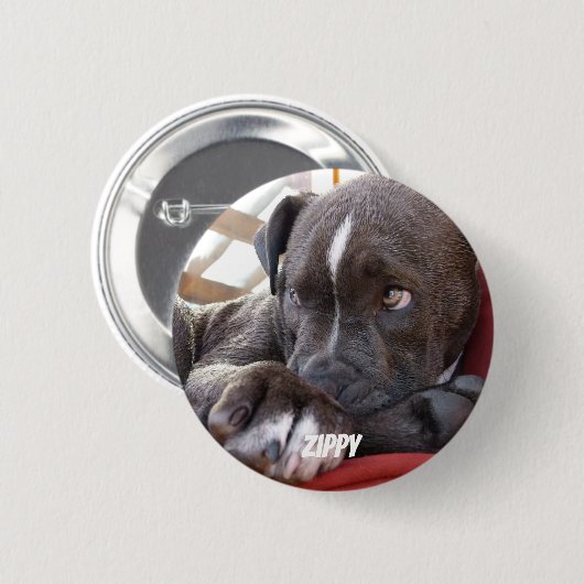 Editable Baby Pitbull Puppies Ronde Button 5,7 Cm (Voorkant /achterkant)
