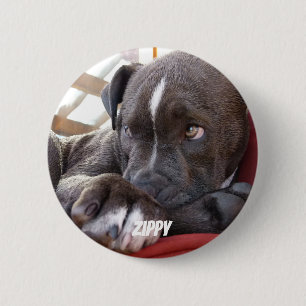 Editable Baby Pitbull Puppies Ronde Button 5,7 Cm