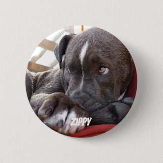 Editable Baby Pitbull Puppies Ronde Button 5,7 Cm