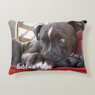 Editable Baby Pitbull Puppy Accent Kussen
