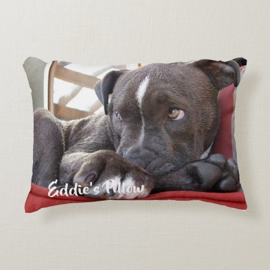 Editable Baby Pitbull Puppy Accent Kussen (Voorkant)