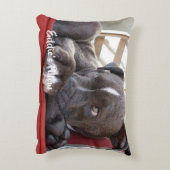 Editable Baby Pitbull Puppy Accent Kussen (Achterkant (Verticaal))