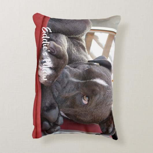 Editable Baby Pitbull Puppy Accent Kussen (Achterkant (Verticaal))