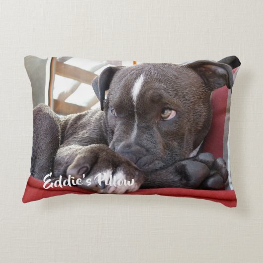 Editable Baby Pitbull Puppy Accent Kussen (Achterkant)