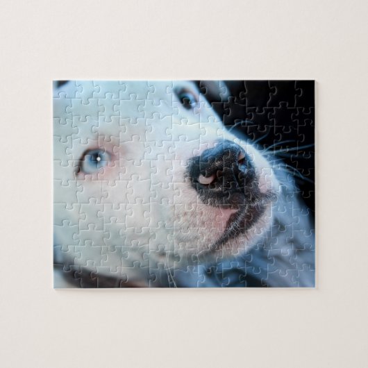 Editable Baby Pitbull White Puppy Legpuzzel (Horizontaal)