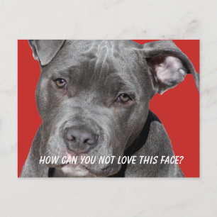 Editable Black Pitbull Briefkaart
