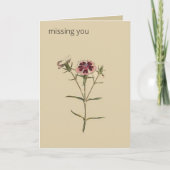 Editable Botanical China Dianthus Greeting Kaart (Voorkant)