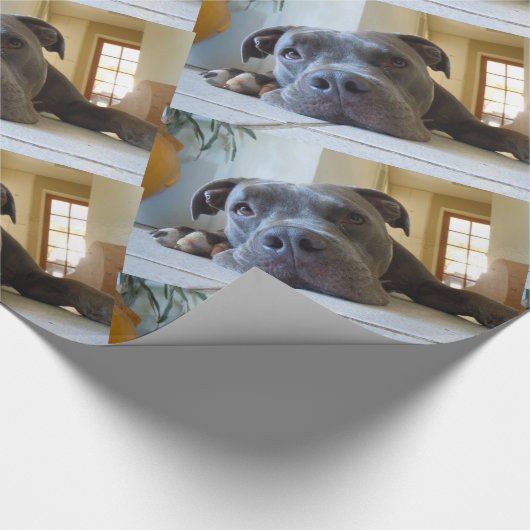 Editable Brown Pitbull Dog Cadeaupapier (Hoek)