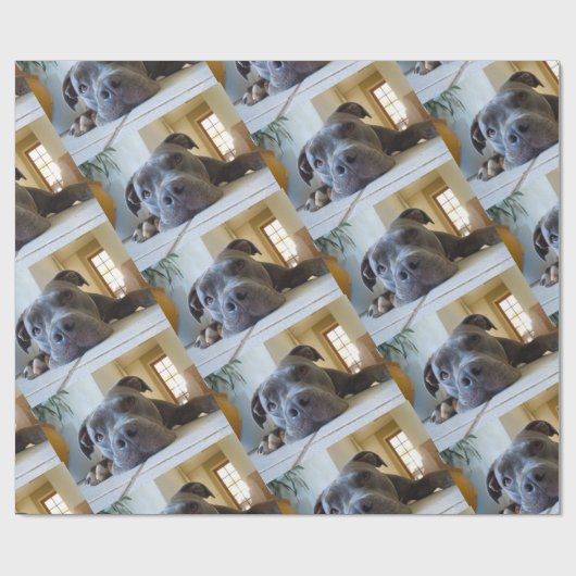 Editable Brown Pitbull Dog Cadeaupapier (Vlak)