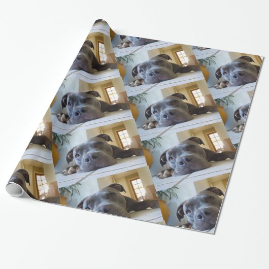 Editable Brown Pitbull Dog Cadeaupapier (Uitgerold)