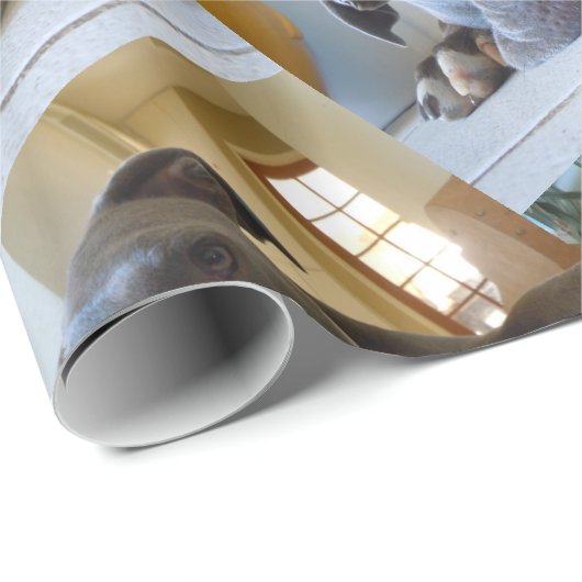 Editable Brown Pitbull Dog Cadeaupapier (Rol Hoek)