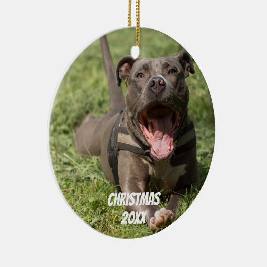 Editable Brown Pitbull in Grass Keramisch Ornament (Rechts)