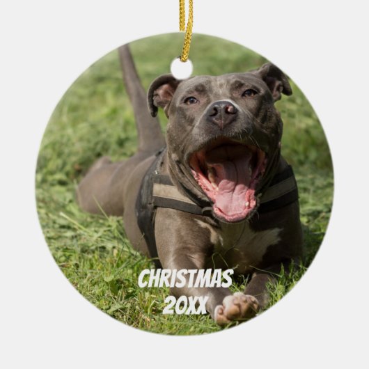 Editable Brown Pitbull in Grass Keramisch Ornament (Voorkant)