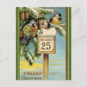 Editable Chickadees op 25 december Briefkaart