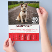 Editable Found Dog Poster With QR Code & Tear‑Off Flyer (Hand)
