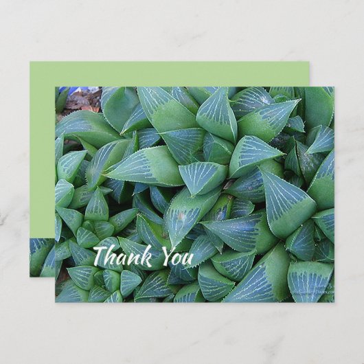 Editable Hartelijk dank voor uw geslaagde Plant 4. (Voorkant / Achterkant)