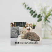 Editable Hello Neighbor, New Address, intro Aankondigingskaart (Staand voorkant)