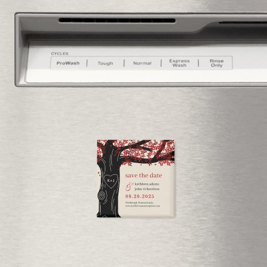 EDITABLE KLEUR VAN Oak sparen de Datum Magnet (Insitu (Vaatwasser))