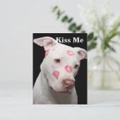 Editable Pitbull Lover Briefkaart (Staand voorkant)