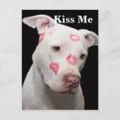 Editable Pitbull Lover Briefkaart (Voorkant)