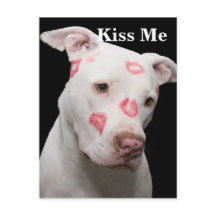 Editable Pitbull Lover