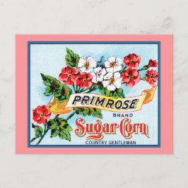 Editable Primrose Flowers  Crate Art Briefkaart