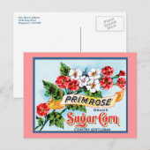 Editable Primrose Flowers  Crate Art Briefkaart (Voorkant / Achterkant)