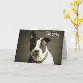 Editable Sad Dog Apology Kaart (Gele Bloem)