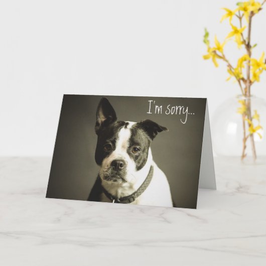 Editable Sad Dog Apology Kaart (Gele Bloem)