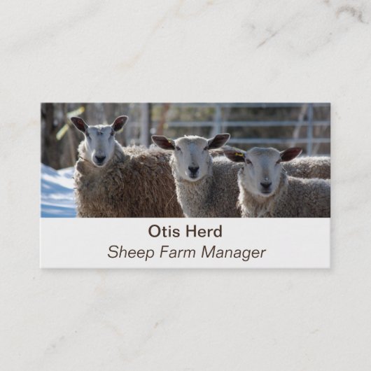 Editable Sheep Farmer Butcher Visitekaartje (Voorkant)