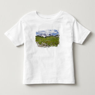 Edith Creek en bloemenweiden bij Paradise Kinder Shirts