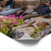 Edith Creek en Mount Rainier Morning Light Poster (Hoek)