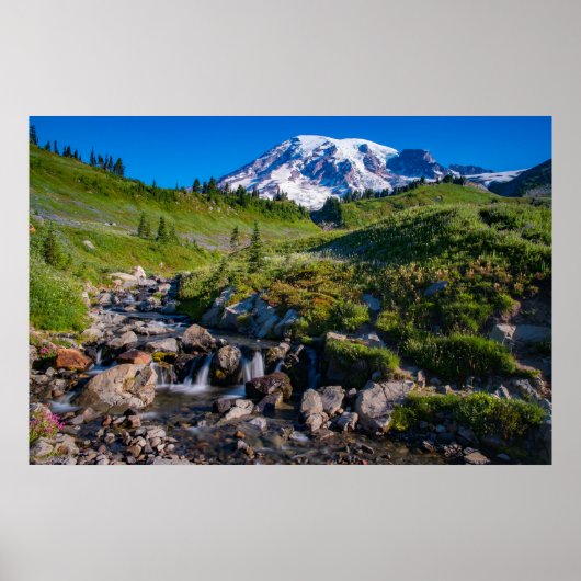 Edith Creek en Mount Rainier Morning Light Poster (Voorkant)