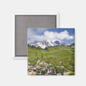 Edith Creek en wildbloemweiden in het Paradijs Magneet (Voorkant / Achterkant)