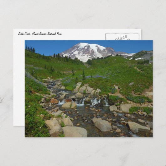 Edith Creek in Mount Rainier National Park Briefkaart (Voorkant / Achterkant)